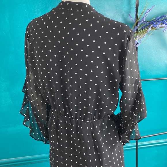 Rachel Roy polka dot dress with sheer sleeves a ruffle detail. - Picture 5 of 7